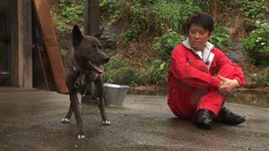 坂上忍、3本足の"サン"を人生最後の犬に検討 - 自宅トライアルの様子を撮影