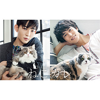 竜星涼に佐野岳も! 人気俳優×猫の完全撮り下ろし写真展「ねこカレ」開催