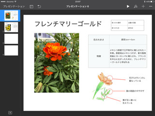 今からでも間に合う! iPadを使った夏休みの自由研究のコツ