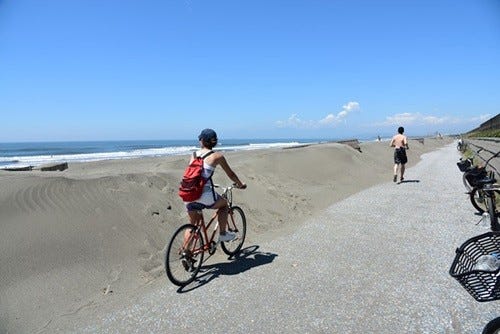 江の島から茅ヶ崎へ 湘南の海風に吹かれてサイクリング 最後はスイーツを 1 マイナビニュース