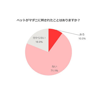 ペットがマダニに刺される場所は? - 人にウイルスを感染させる恐れも