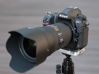 ニコン D850レビュー - 実写作例16点で語る