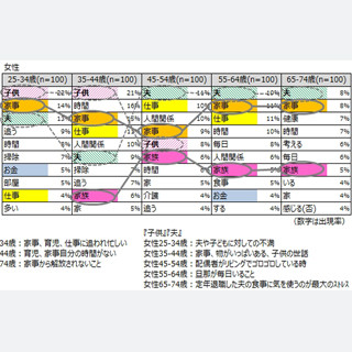 日々のストレス、女性は「家事」「家族」が上位に--20～60代で傾向変わらず