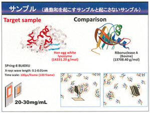 アルツハイマー病などの新治療戦略につながる可能性 東大 凝集時のタンパク質1分子の高精度な動態観察に成功 Tech