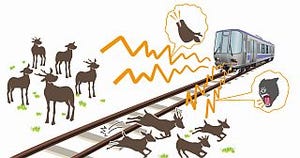 鉄道総研、鹿の接触事故防止に新手法 - 鹿・犬の鳴き声が効果あり!?