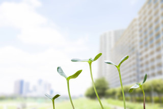 土地の価格はどう決まる? 地価で決まる未来のマンション価値