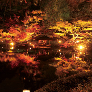 「八芳園」で紅葉特別ライトアップ - シャンパンと紅葉を楽しむイベントも