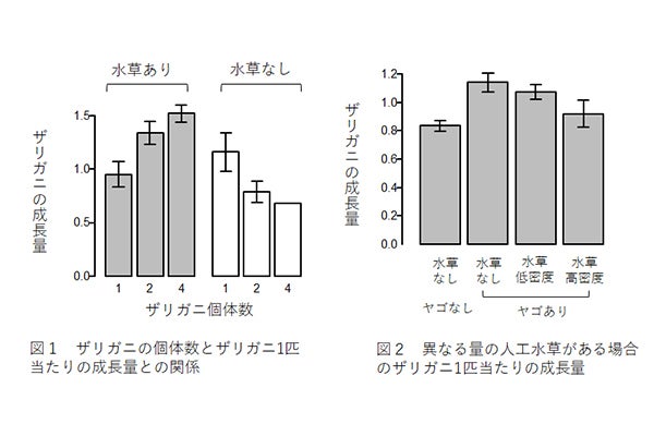 東京大学 外来種アメリカザリガニは水草を刈り生態系を有利に改変と解明 Tech