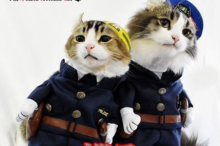 会津鉄道 猫駅員 らぶ駅長 ぴーち施設長が一日警察官に就任 マイナビニュース