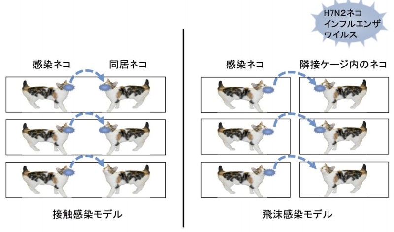 ニューヨークで流行し…