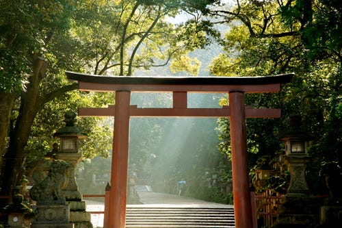 知らないと初詣で恥をかく 神社参拝で気をつけたい10のこと マイナビニュース