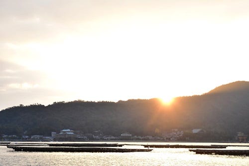 広島県産の牡蠣って何で有名なの 実際に漁を見て 話を聞いてきた マイナビニュース