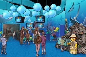 レゴランドジャパン、新水族館とセットのリゾート年間パスを特別価格で販売