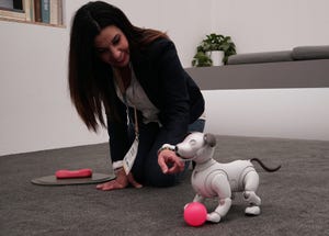 犬型ロボット「aibo」がCES会場に! Googleアシスタント対応イヤホンも登場したソニー発表会