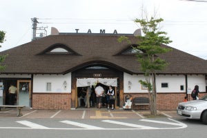 和歌山電鐵「よんたま」が昇格、伊太祈曽駅長兼貴志駅駅長代行に