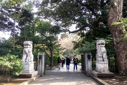 大隈庭園の一角にどっしりと置かれた2体の獅子「中華民国獅子像」。早稲田大学創立100周年を記念して、台湾から寄贈されたものだ。