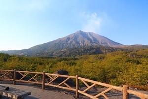 大河ドラマ『西郷どん』を追って鹿児島旅--誕生から奄美群島の島暮らしまで