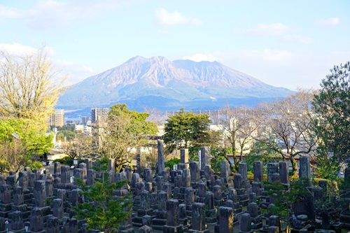 西郷の墓がある場所からは、西南戦争で散った兵たちの墓越しに桜島が見える