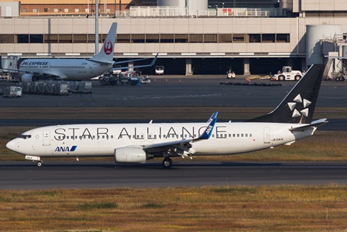 DSPの導入時期は加盟各航空会社に委ねられており、サービスごとに導入の選択が可能