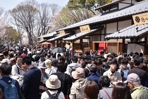 名古屋城待望の飲食施設「金シャチ横丁」誕生! 魅惑の名古屋めしが勢ぞろい