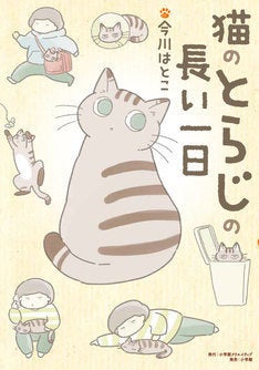 猫エイズに感染した愛猫と作者の日々綴るエッセイ 猫のとらじの長い一日 マイナビニュース