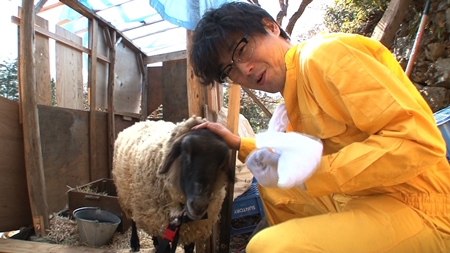 山崎樹範