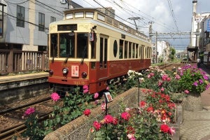 東京都交通局「都電バラ号」9001号の特別電車、5/2から運行開始