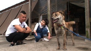 完熟フレッシュ、「一時預かり制度」で人生初の犬を飼う