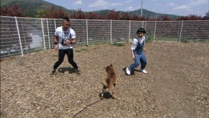 相葉雅紀、体を張って犬を救う! "多頭飼育崩壊"の現場をレポート