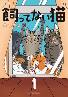 何故かノラ猫が集まってくる 関口かんこのエッセイマンガ 飼ってない猫 1巻 マイナビニュース