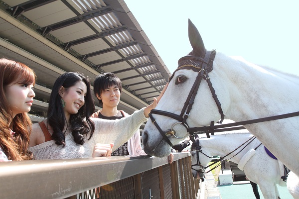 東京競馬場の画像①