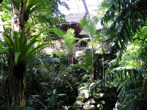 板橋区立熱帯環境植物館の画像①
