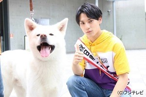 超特急ユースケ、秋田犬と初対面 一日観光大使として名所をPR