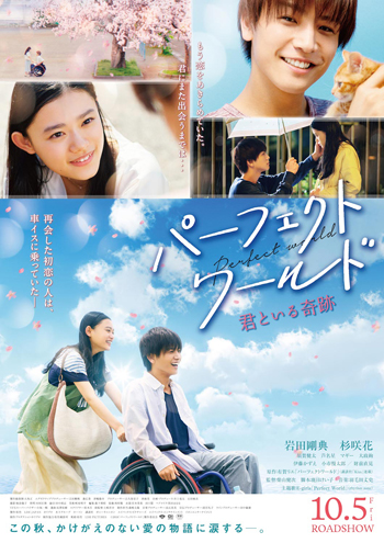 『パーフェクトワールド 君といる奇跡』本ポスター