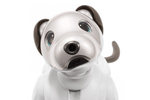 ソニー、「aibo」の生産を拡充 - 希望者はみんな買えるように