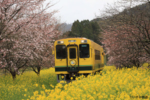 「鉄道カラオケ」第6弾はいすみ鉄道 - いすみ300形の車内から撮影