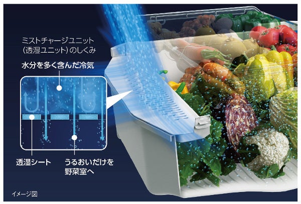 2022年製】東芝ベジータ 野菜室がまんなか 自動製氷機能付☆W-772 - 冷蔵庫