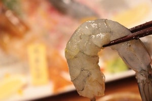 しゃぶしゃぶにフライに刺身! 「かいり 恵比寿店」で一生分の海老を食べてきた