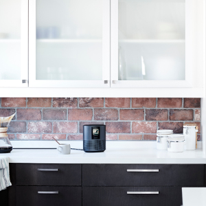 BOSE HOME SPEAKER 500