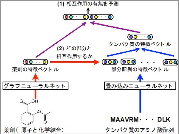 深層学習を活用して薬剤とタンパク質の相互作用の予測に成功 産総研 Tech