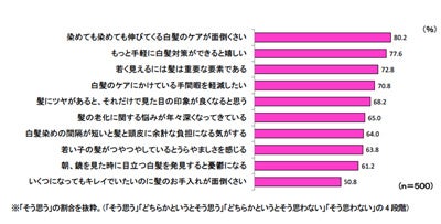 髪のエイジングについて項目ごとにどの程度そう思うかをお知らせください