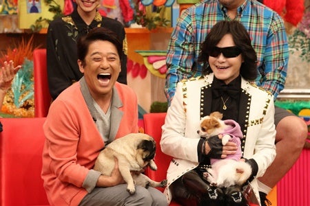 Toshl 愛犬とテレビ初共演 お礼に 犬のおまわりさん 熱唱 マイナビニュース