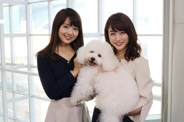 新井恵理那 福田成美 看板犬 に興奮 きゃー かわいい マイナビニュース