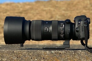 シグマ「60-600mm F4.5-6.3」レビュー、描写に驚く10倍ズーム