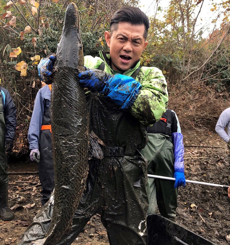 的場浩司 池の水 2カ月連続で巨大生物捕獲 田村淳も 震える マイナビニュース