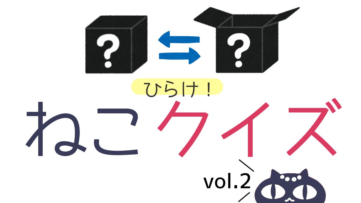 お正月雑学特集 ねこクイズ マイナビニュース