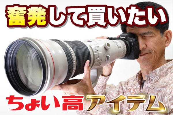 奮発してでも買いたい キヤノン Ef800mm F5 6l Is Usm マイナビニュース