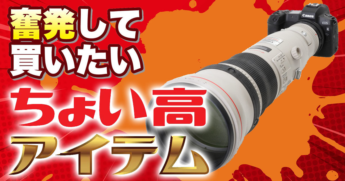 奮発してでも買いたい! キヤノン「EF800mm F5.6L IS USM」 | マイナビ 奮発してでも買いたい! キヤノン「EF800mm F5.6L IS USM」 | マイナビ