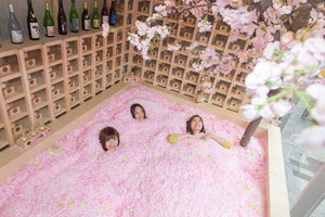 インスタ映えしそうな「桜プール」で日本酒を楽しむ「サクラチルバー」がオープン