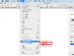 iPad iPhone Hacks